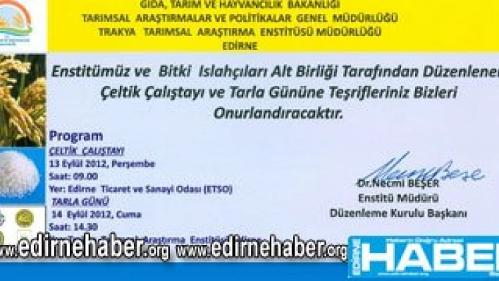 Çeltiğin geleceği tartışılacak