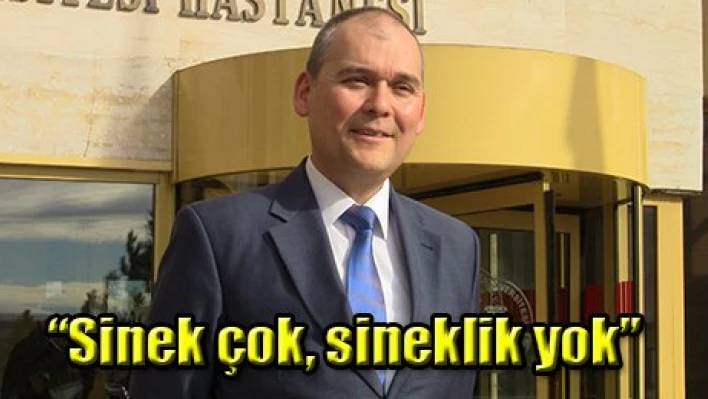 'Sinek çok, sineklik yok'