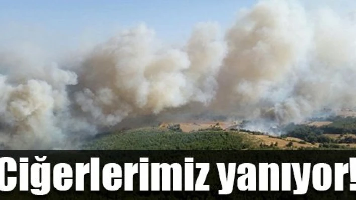 Yangın söndürülemedi