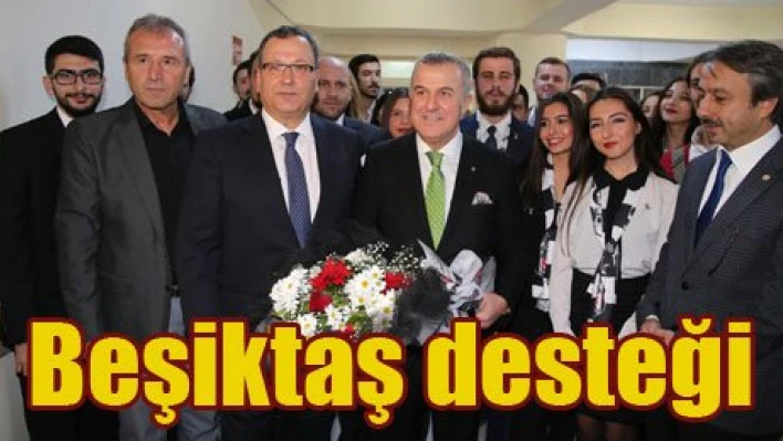 Anlamlı destek