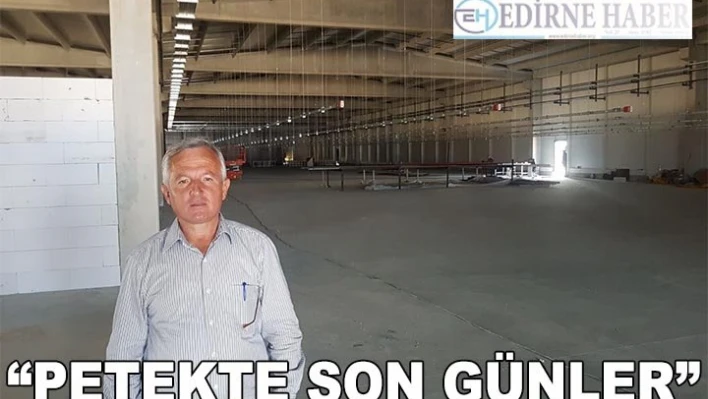 'Petekte son günler'