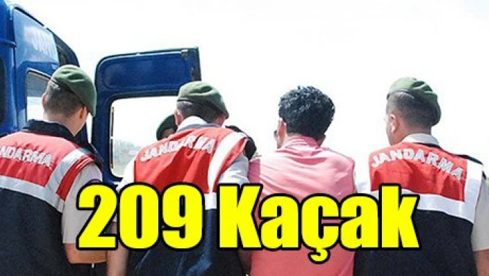 209 kaçak