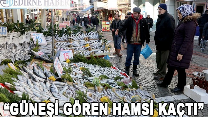 'Güneşi gören hamsi kaçtı'