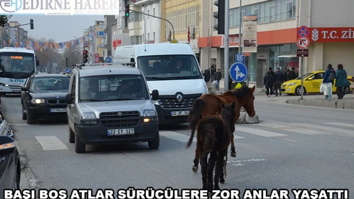 Başı Boş Atlar Sürücülere Zor Anlar Yaşattı