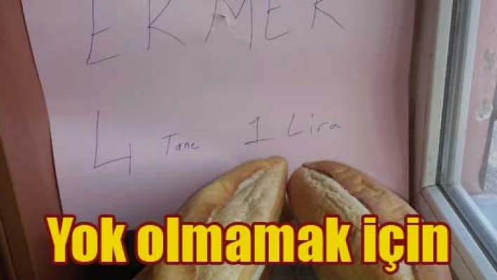 Ne Yapacaklarını şaşırdılar