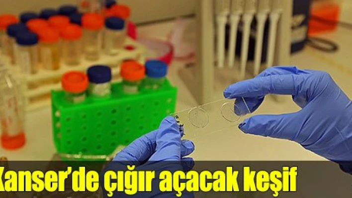 Kanser tedavisinde çığır açacak keşif