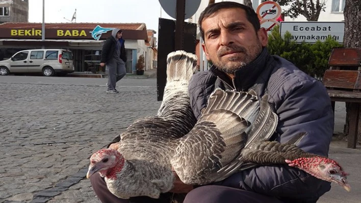 Görücüye çıktılar