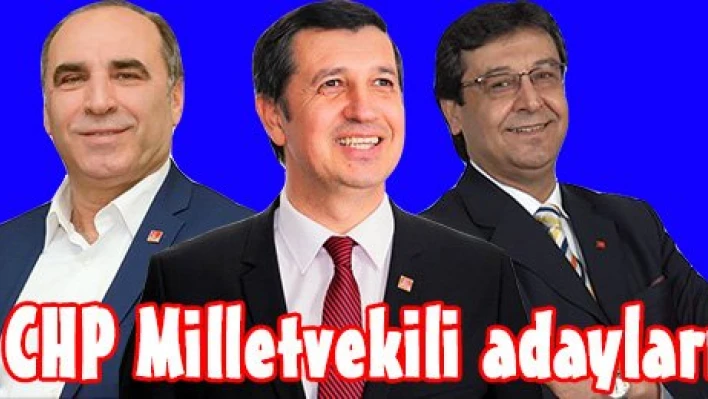 CHP Milletvekili adayları