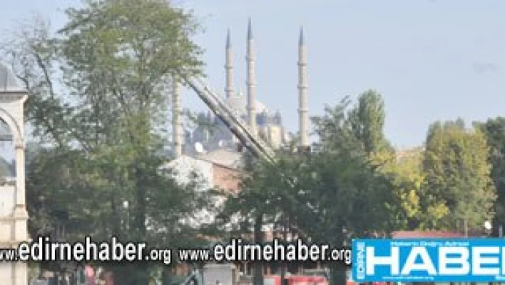Ağaçlar engel olmayacak
