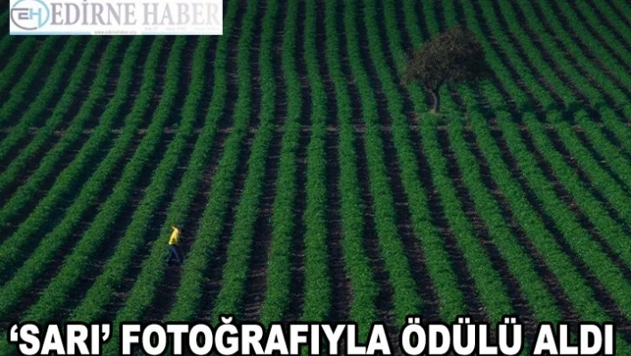 â€˜Sarı' Fotoğrafıyla Ödülü Aldı