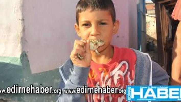 Ekmeklerini kurbağa'dan çıkarıyorlar