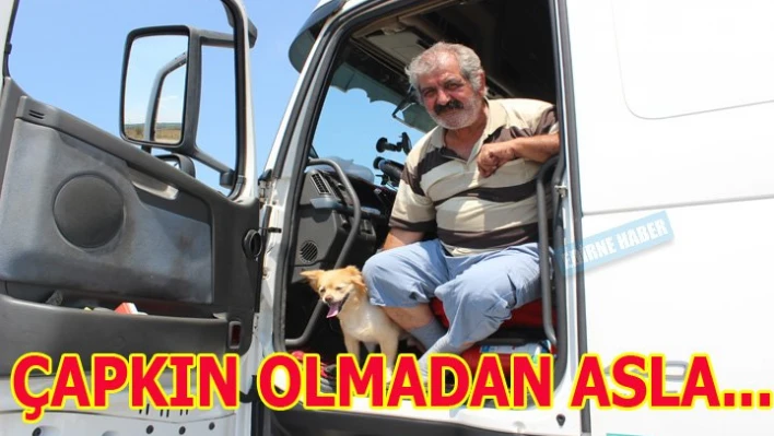 Çapkın olmadan asl