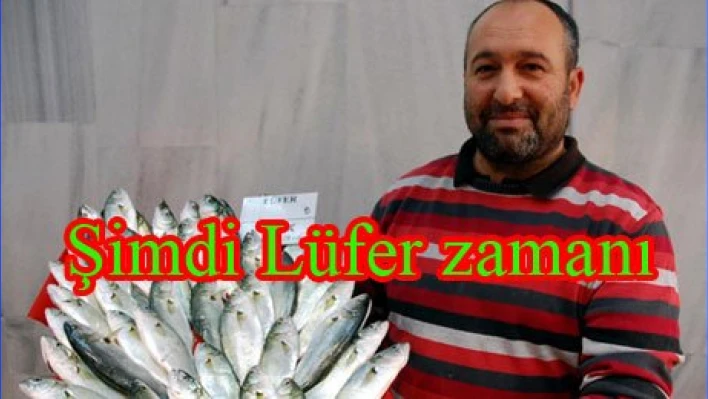 Palamut yerine Lüfer verelim