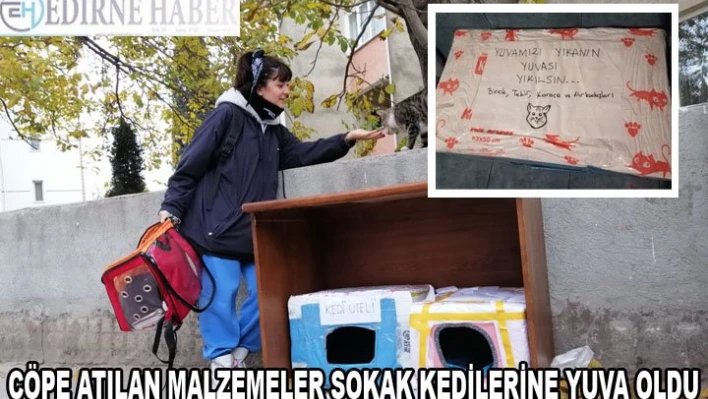 ÇÖPE ATILAN MALZEMELER SOKAK KEDİLERİNE YUVA OLDU