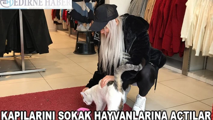 Kapılarını sokak hayvanlarına açtılar