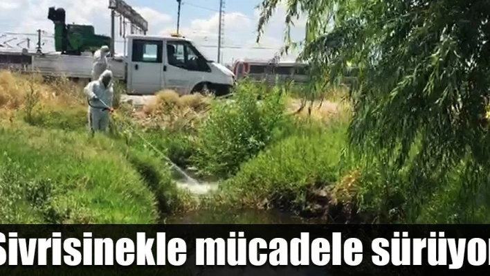 Mücadeleye devam