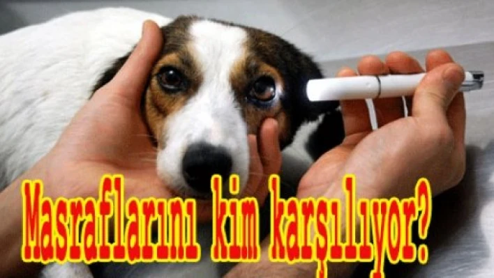Masraflar hayvanseverlerden