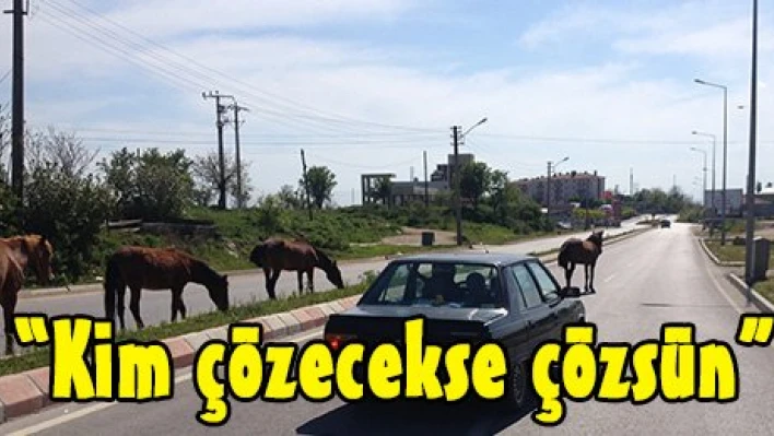 'Kim çözecekse çözsün'