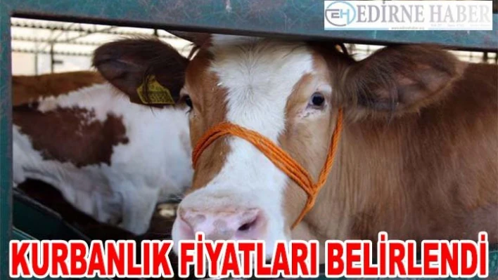 Kurbanlık fiyatları belirlendi