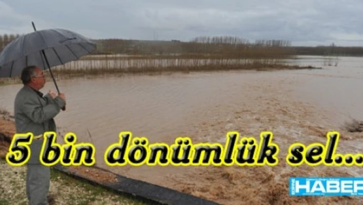  Havsa'da 5 bin dönüm arazi sular altında