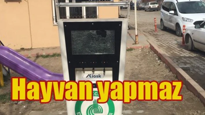 Bunlara ne diyelim?