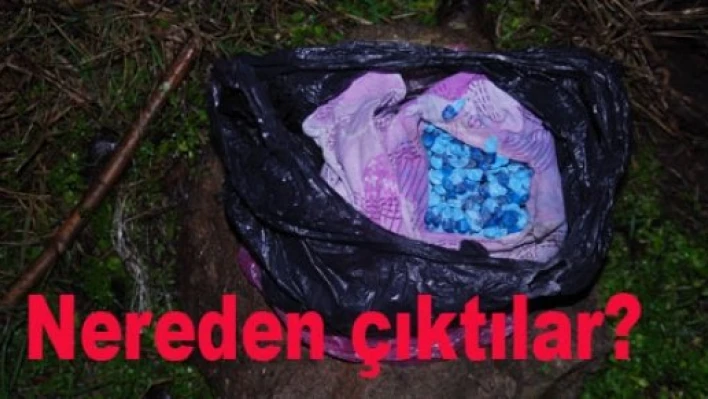 Toprağa gömdüler