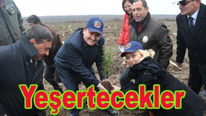   Kadınlar yeşertecek