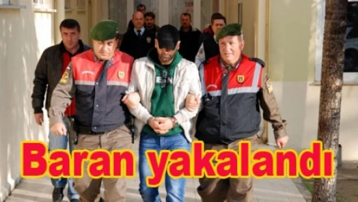 PKK’lı Doktor Baran, Avrupa’ya kaçarken yakalandı