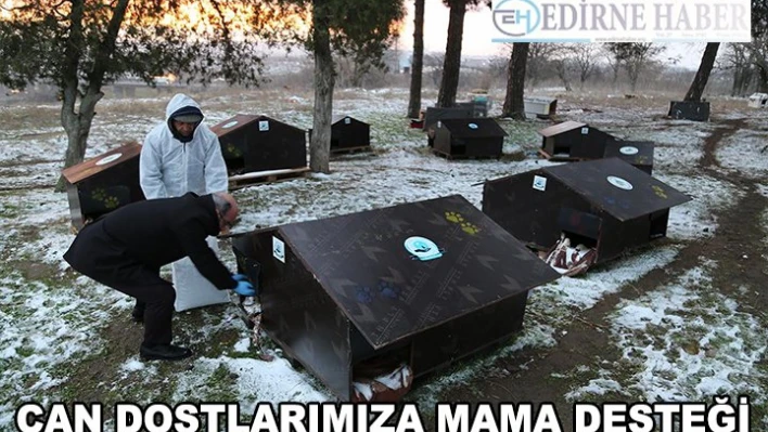 Can dostlarımıza mama desteği