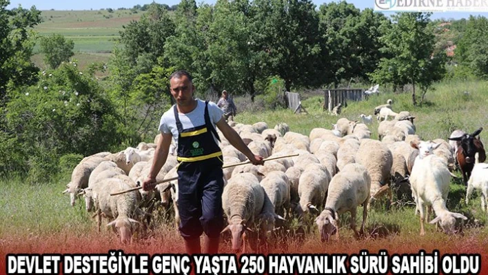 Devlet desteğiyle genç yaşta 250 hayvanlık sürü sahibi oldu