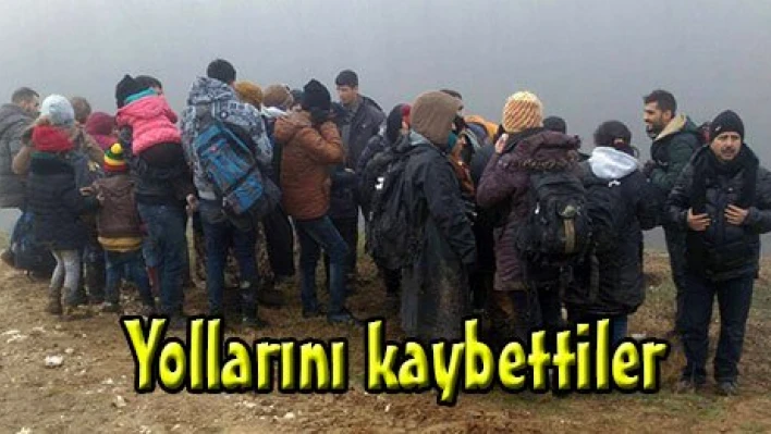 Yollarını kaybettiler
