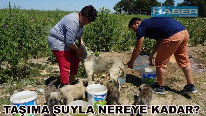 'Taşıma suyla nereye kadar'