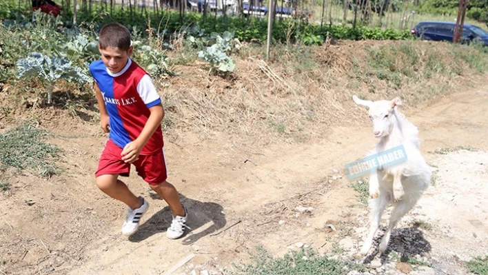 Mülayim aileden biri