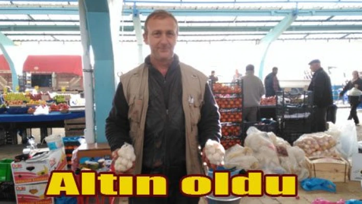Sarımsak altın gibi