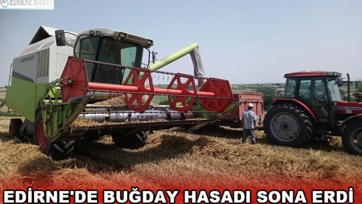  Edirne'de buğday hasadı sona erdi