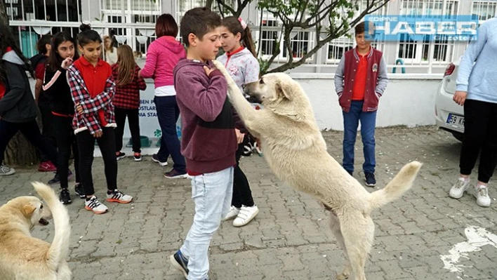 Ders arası hayvanları besliyor