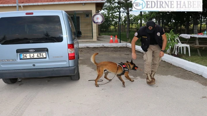 Narkotik köpeği 'Thor' uyuşturucuya geçit vermiyor
