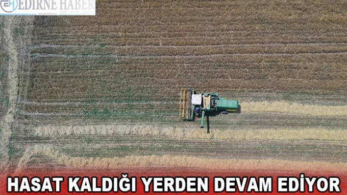 Hasat kaldığı yerden devam ediyor