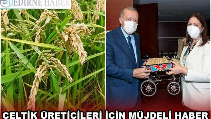 ÇELTİK ÜRETİCİLERİ İÇİN MÜJDELİ HABER