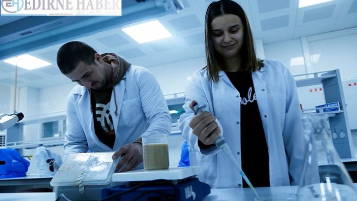 Yerli enzim üretilmesiyle ilgili proje 