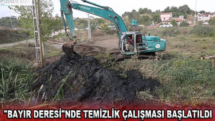 'Bayır Deresi'nde temizlik çalışması başlatıldı
