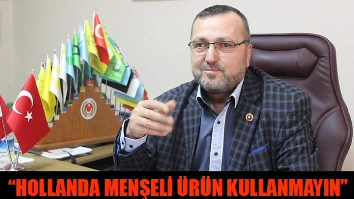 Hollanda ekonomisi yandı