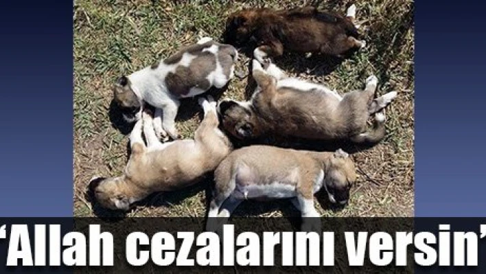 Gel de çık işin içinden