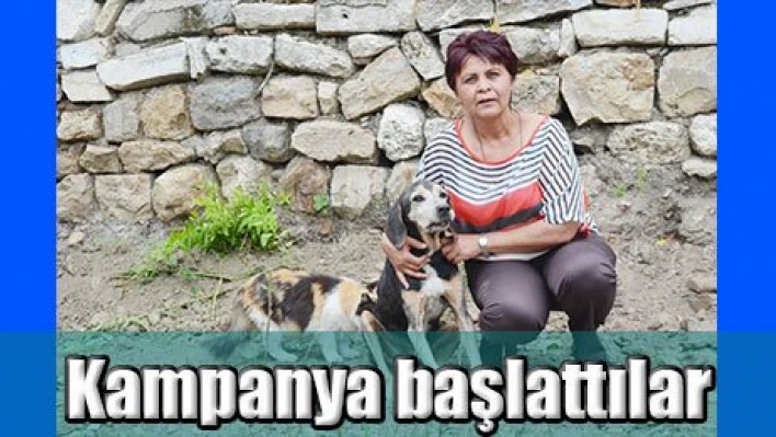 Kampanya başlattılar