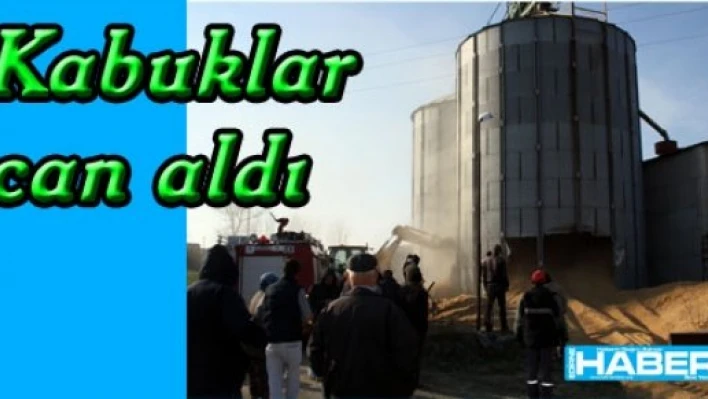  Çeltik kabukları öldürdü