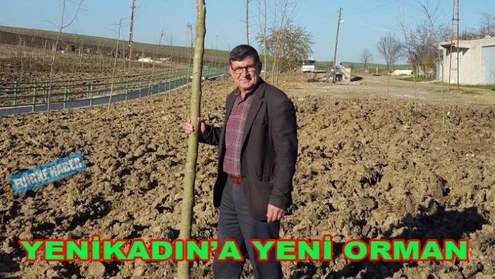 Yenikadın'a 560 fidan