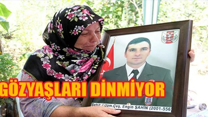 Buruk bayram