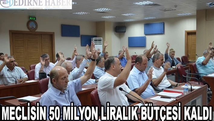 Meclisin 50 milyon liralık bütçesi kaldı