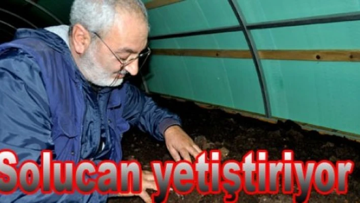 “Türk tarımı kurtulacak”