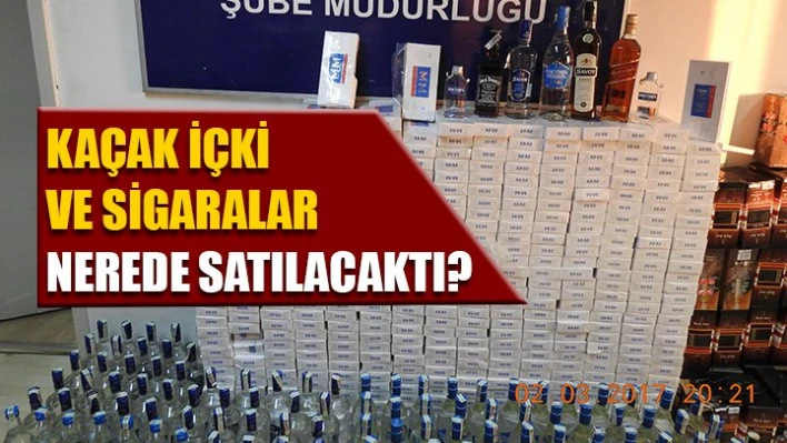 Ayı Kanları yakalandı